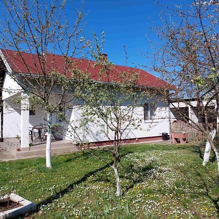 Apartman Dijelovi Bijeljina Exterior foto